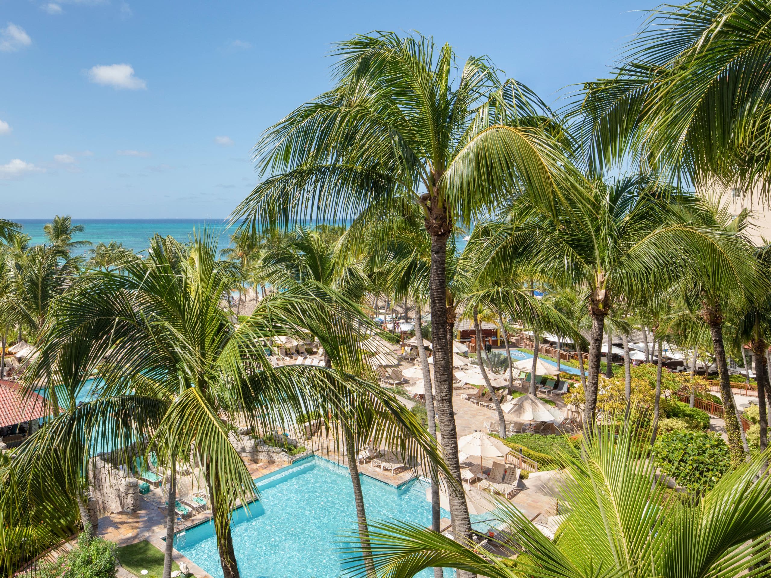 Cayena Suite View