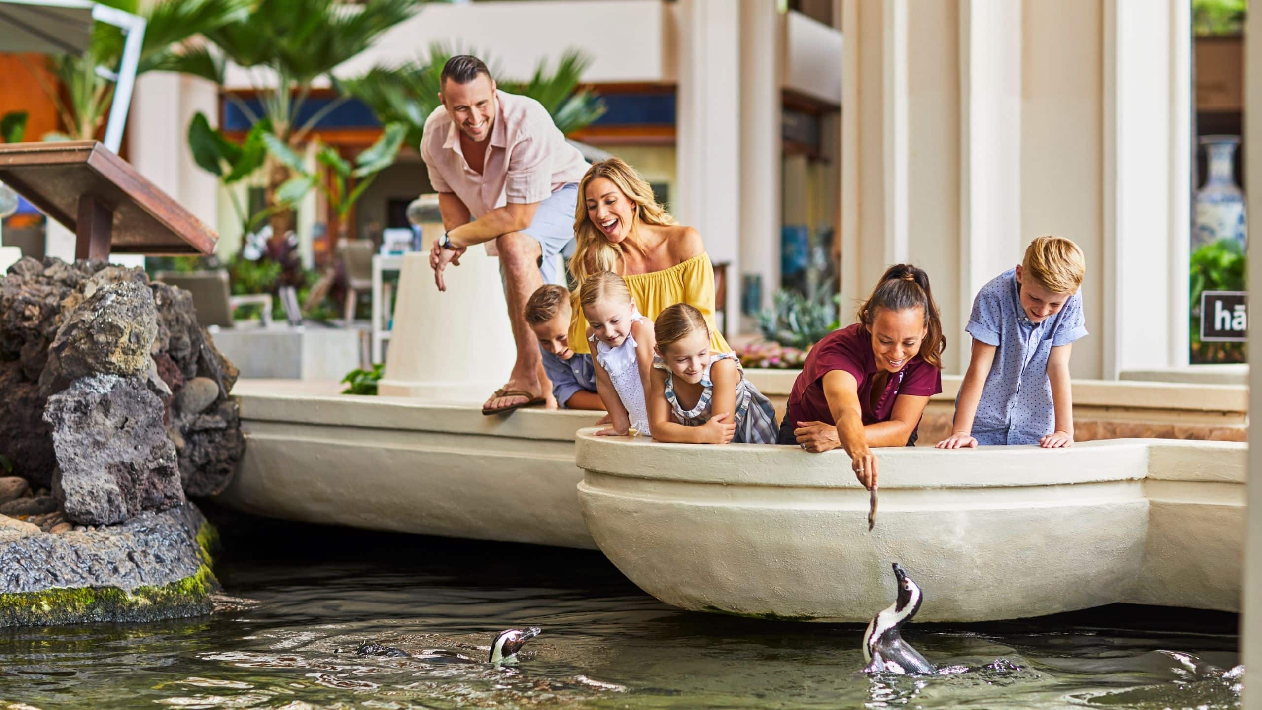 Hyatt Regency Maui Resort and Spa Penguin Feeding