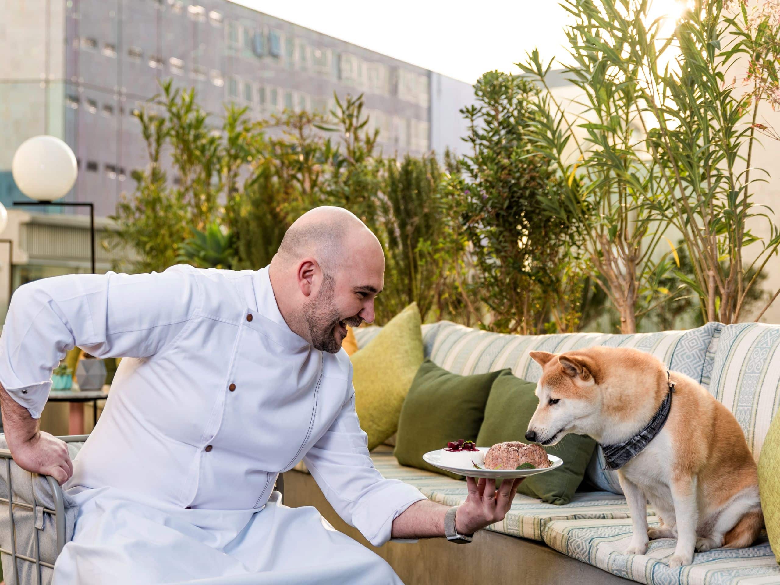 Andaz Mexico City Condesa Woof Top Chef