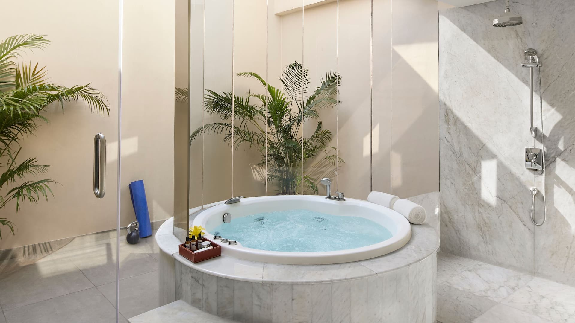第 4，共 5 Hyatt Regency Kolkata Duplex Suite Bathroom Shower Bathtub