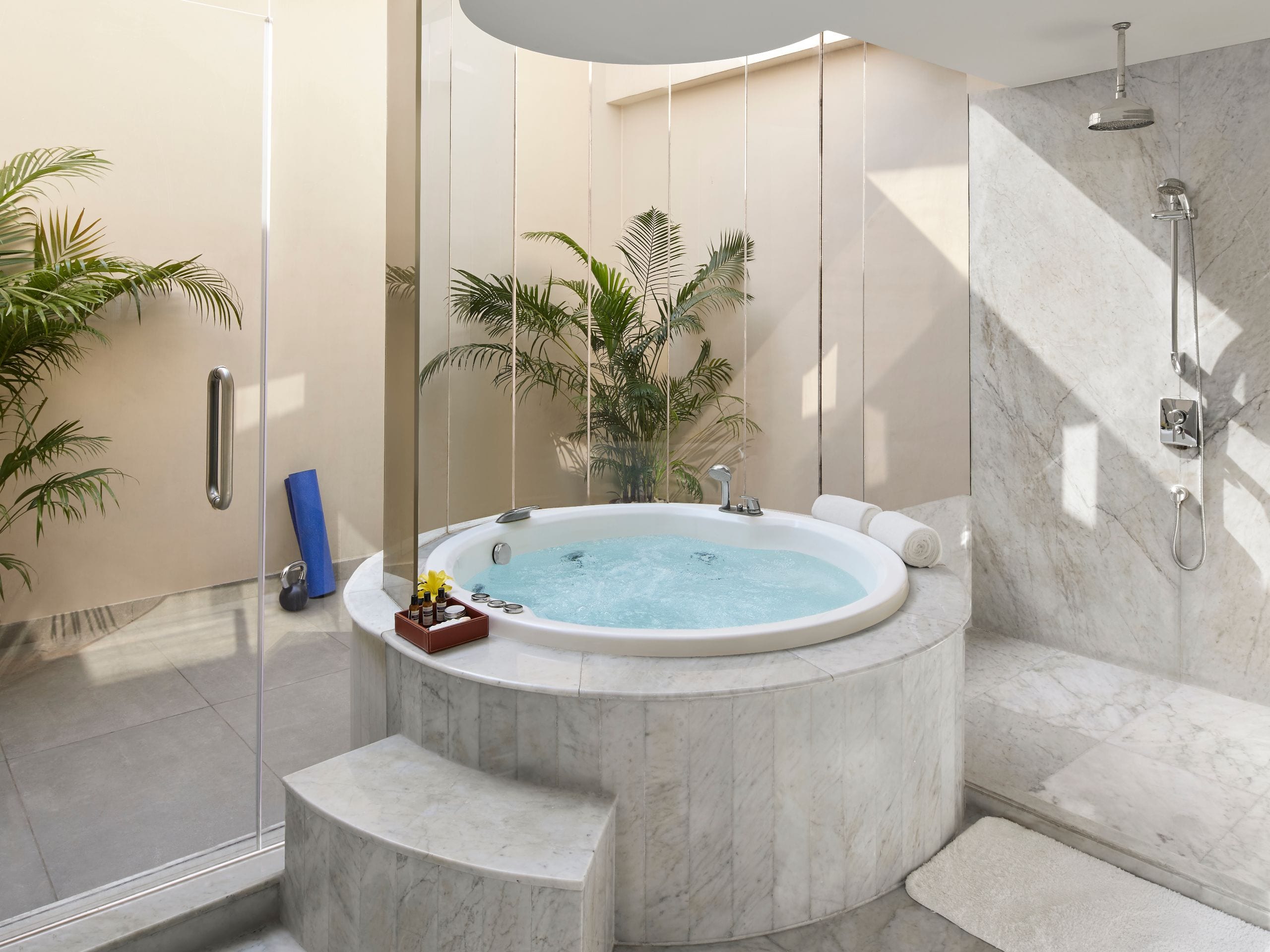 Duplex Suite Bathroom Shower Bathtub