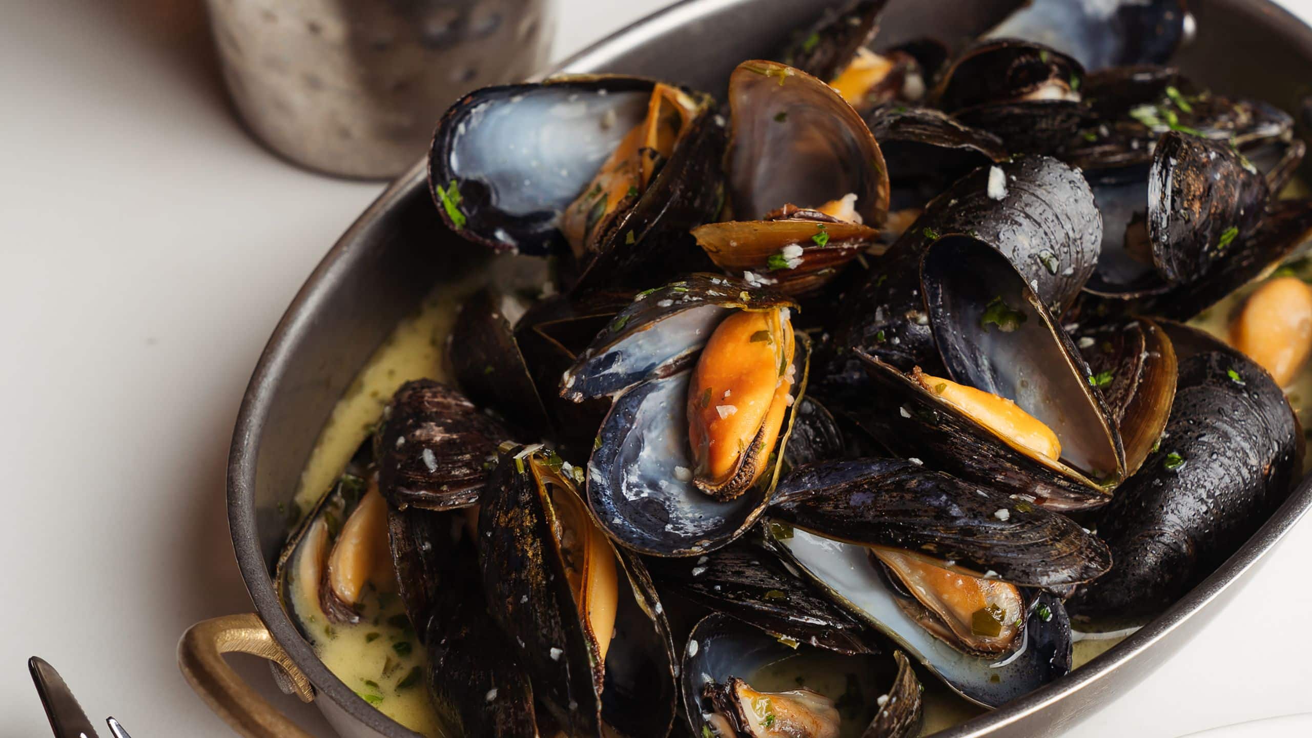 Hyatt Centric The Loop Chicago Bandol Bar Moules Mariniere Mussels Fries