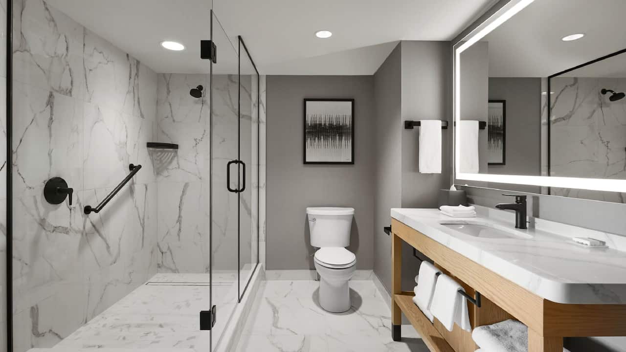 Junior Suite Bathroom Shower