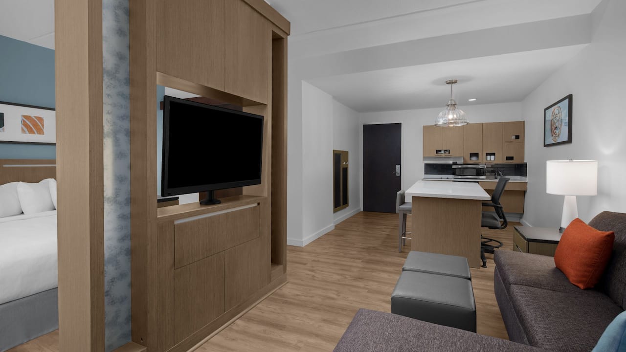 Accessible One Bedroom King Studio Suite