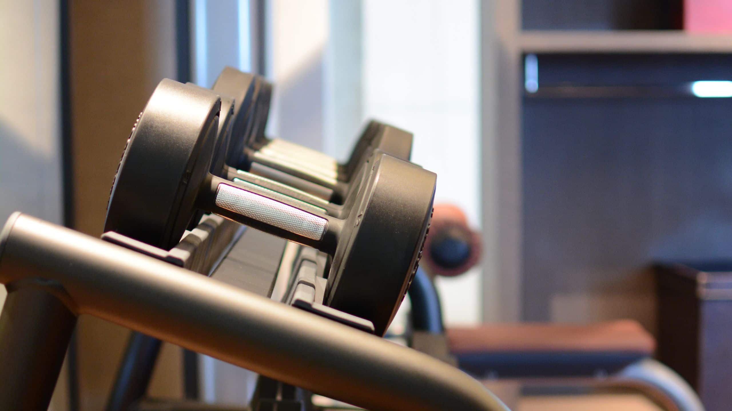 Park Hyatt Shanghai Waters Edge Fitness Center Weights