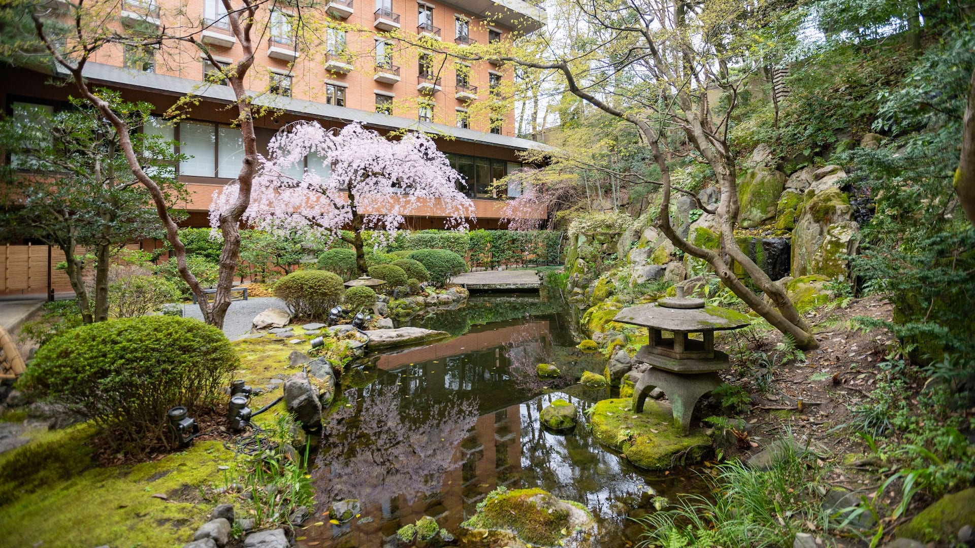 Hyatt Regency Kyoto Gardens During Sakura Season