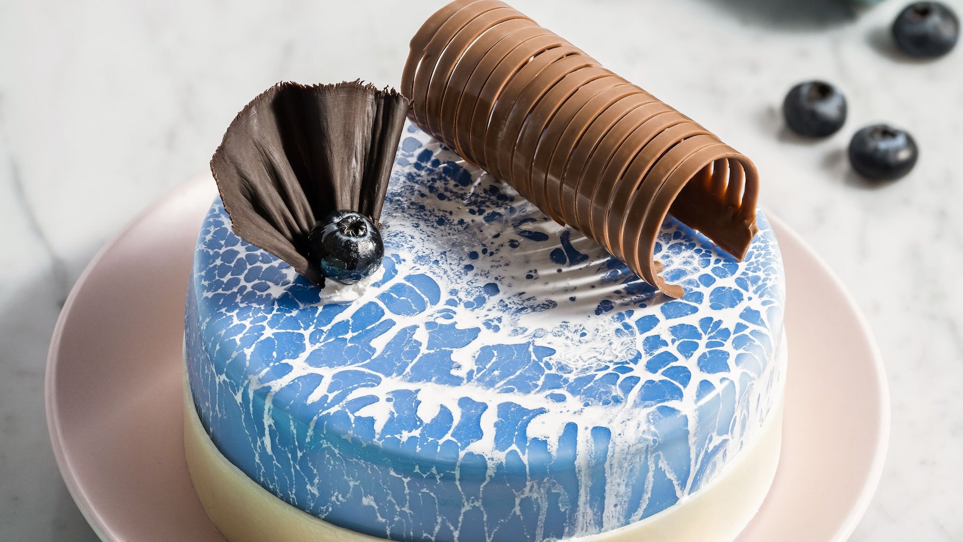 Hyatt Place Bharuch Blueberry Cake