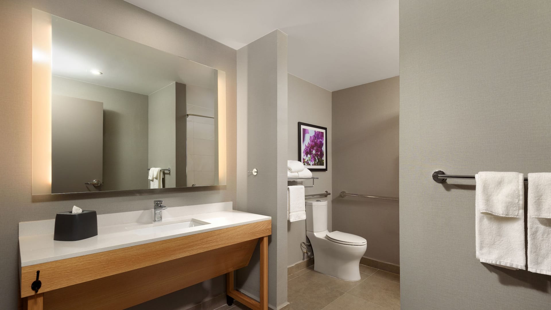 2 von 2 Hyatt Place Monterrey Valle Accessible Bathroom
