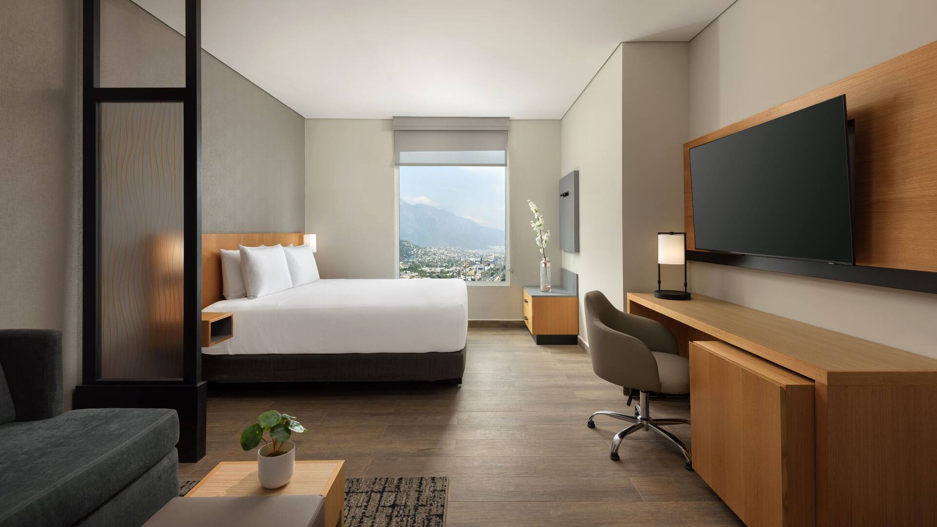 Hyatt Place Monterrey Valle King Wide View