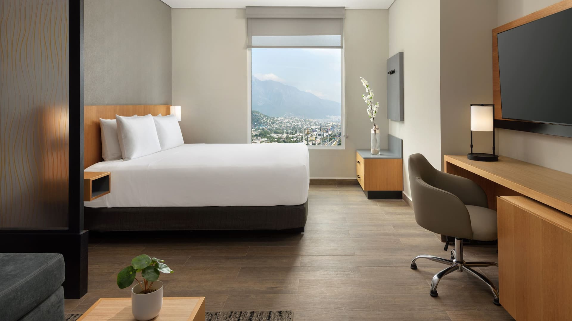 Hyatt Place Monterrey Valle King Window View