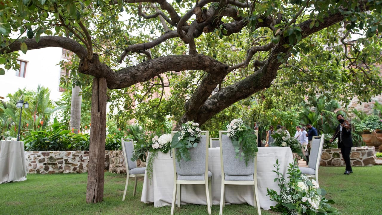 Under The Avocado Tree Reception