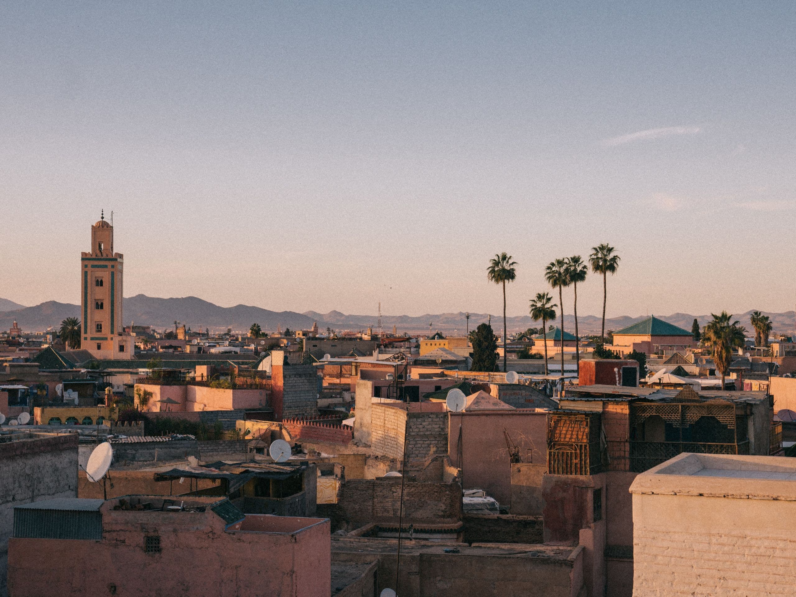 Park Hyatt Marrakech Old Medina Palmtree Rooftop View