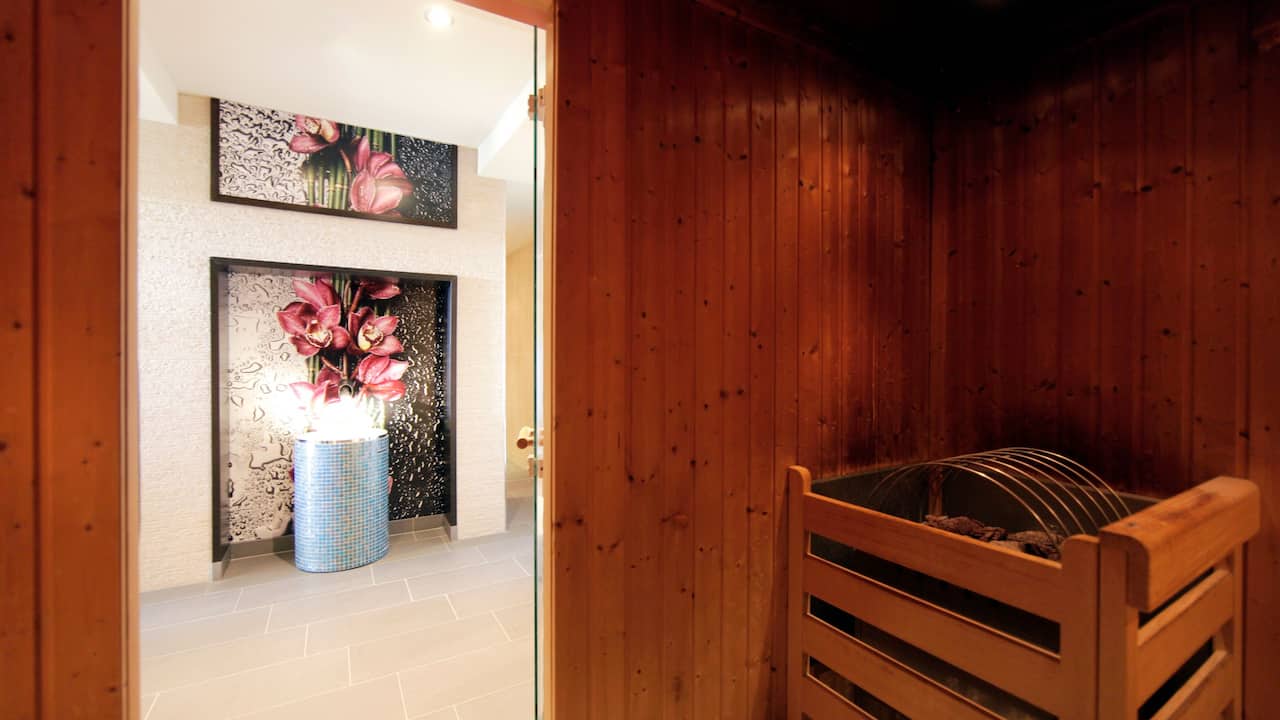 Wellness Sauna