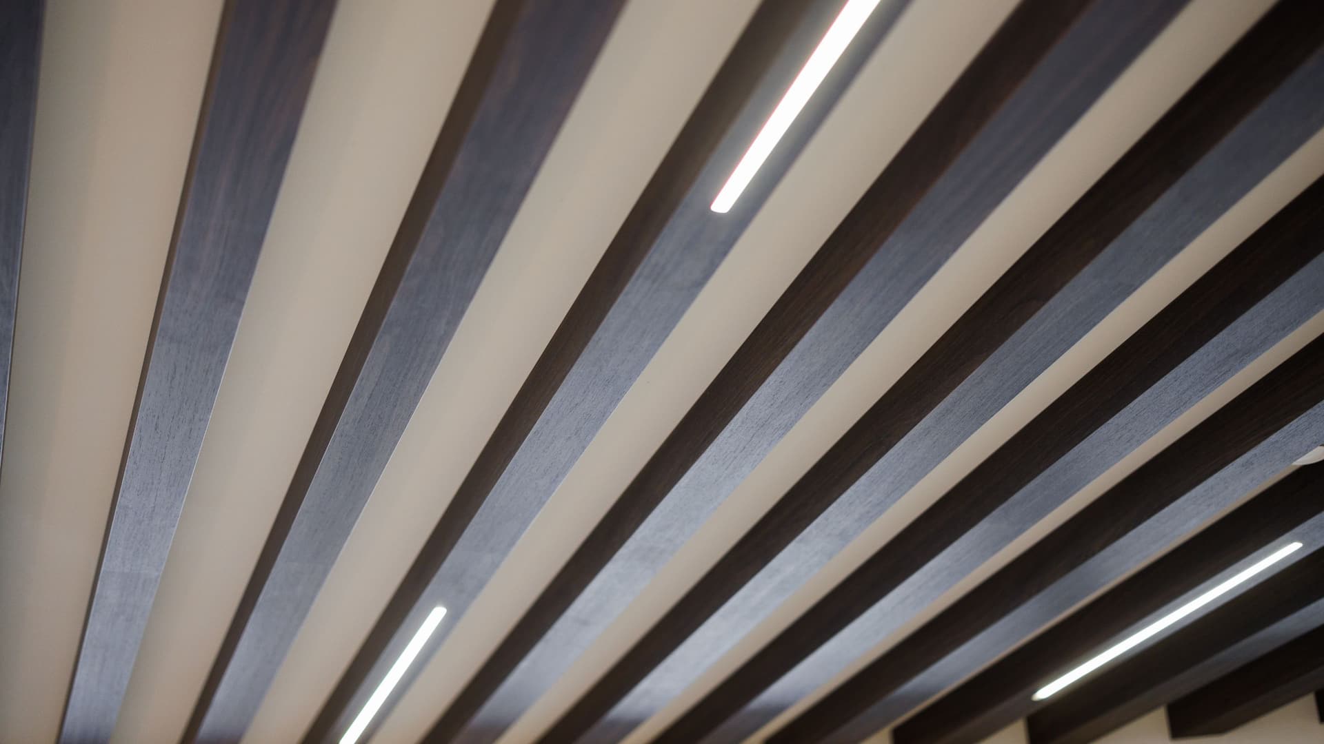 Hyatt Place San Carlos Lobby Art Ceiling