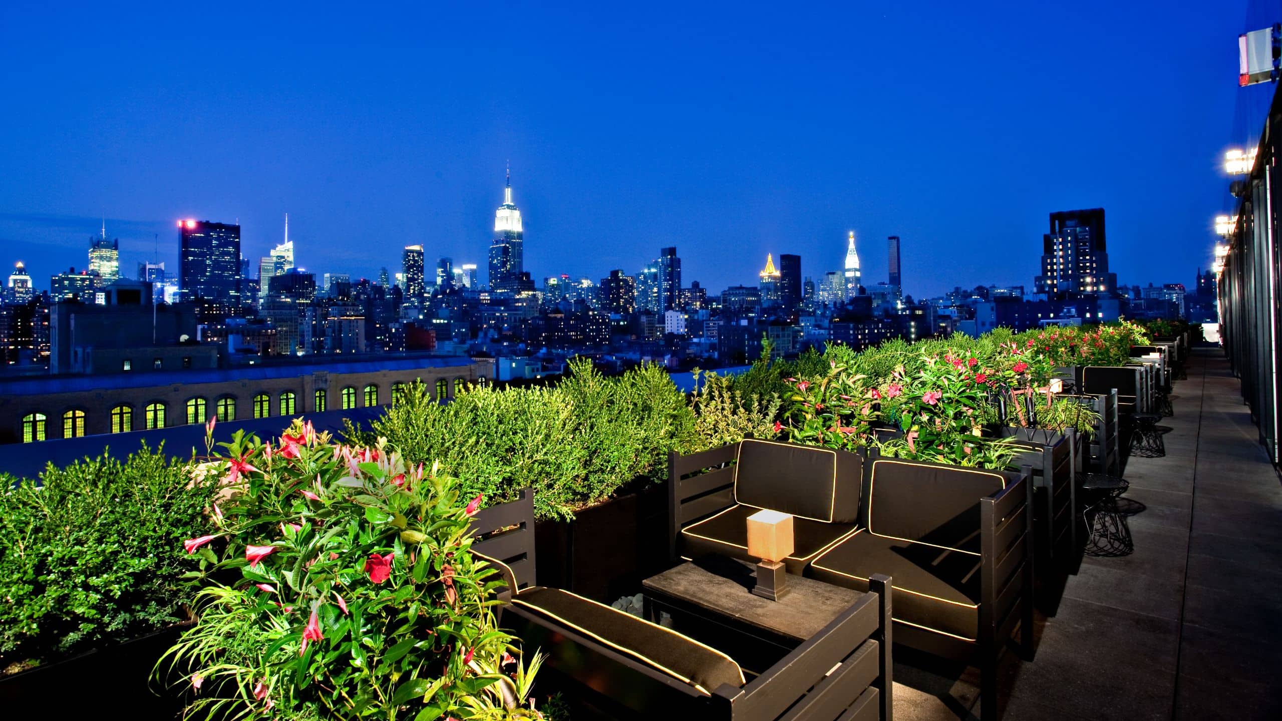 Boutique Hotel In Downtown NYC Dream Downtown Part Of Hyatt Boutique Hotel In Downtown NYC Dream Downtown Part Of Hyatt