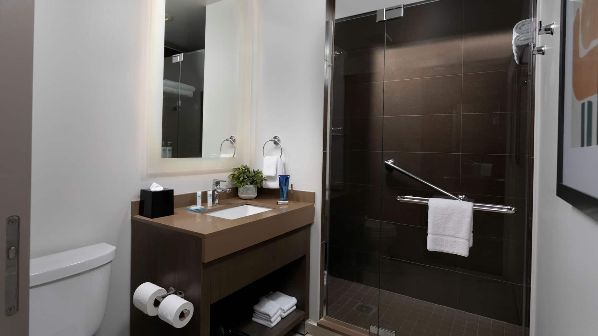 第 3，共 4 Hyatt House San Juan Two Queen Bed Den Guestroom Bathroom Shower