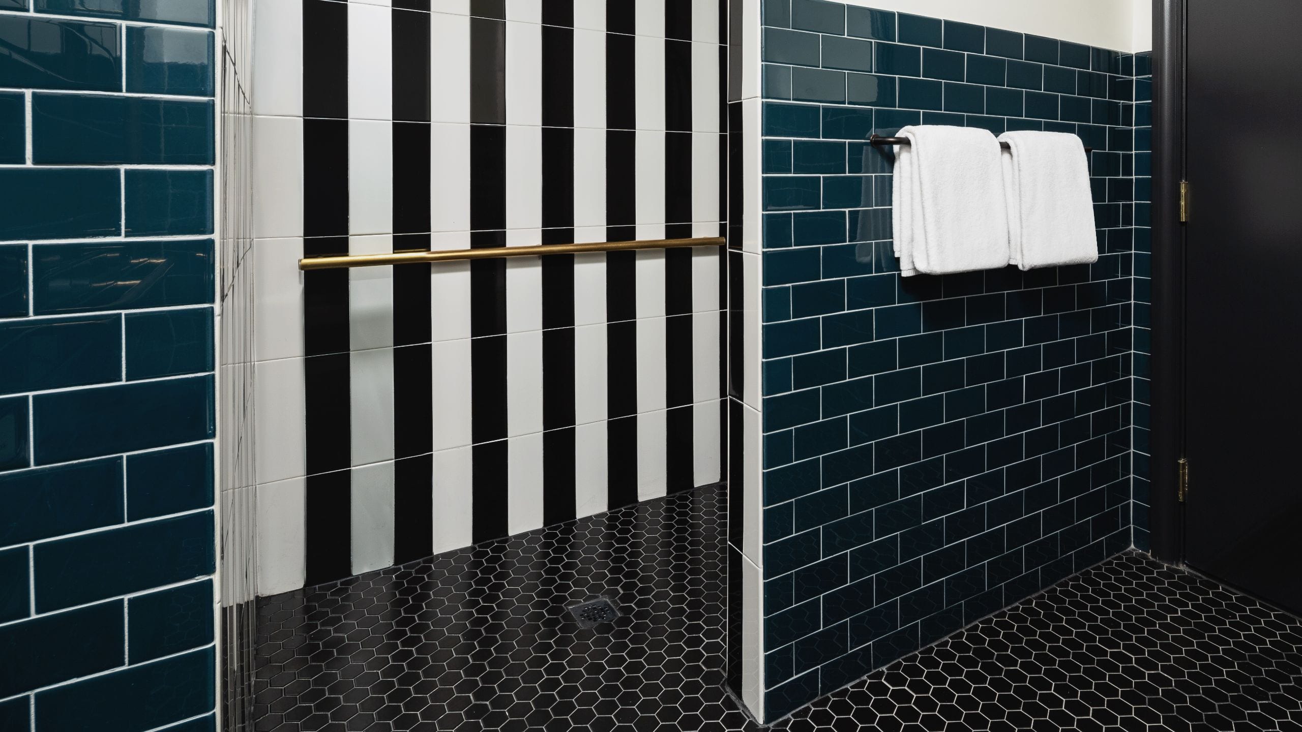 第 2，共 2 Dream Nashville Accessible Roll In Shower