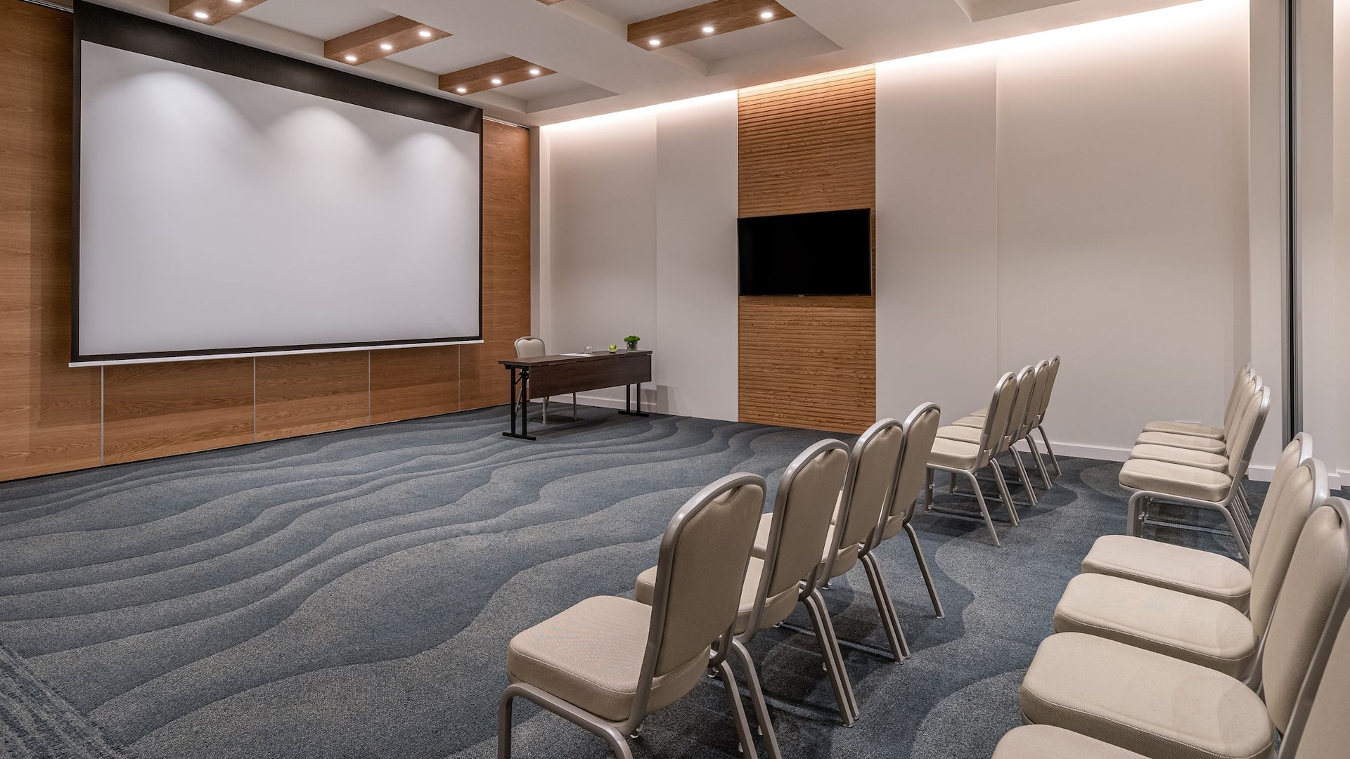 Hyatt Regency Lisbon Alfama Theater Projection Screen