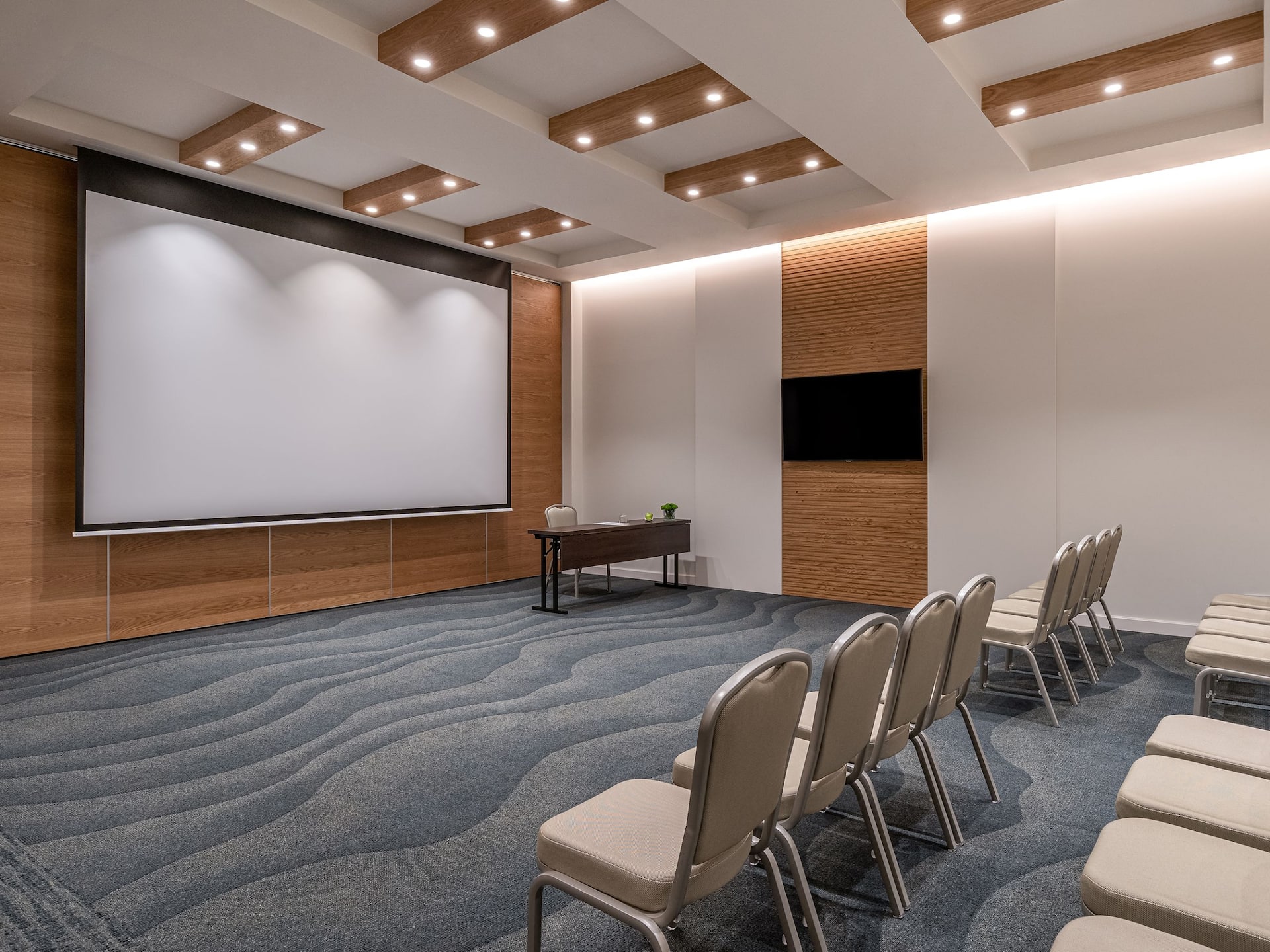 Hyatt Regency Lisbon Alfama Theater Projection Screen