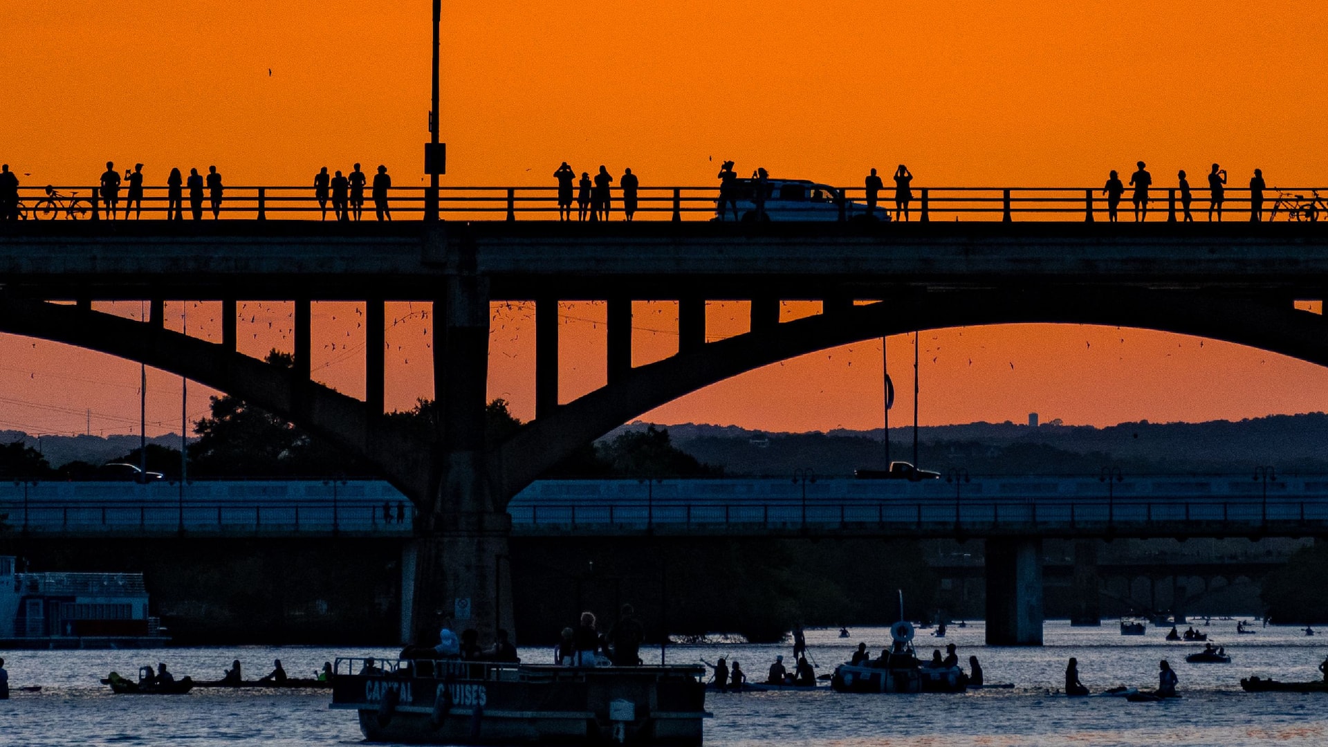 Hyatt Regency Austin Bat-Bridge