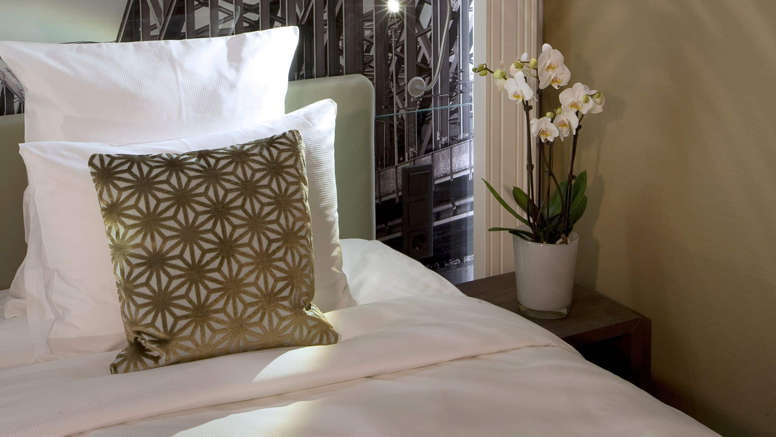 Lindner Hotel City Plaza Suite Pillows