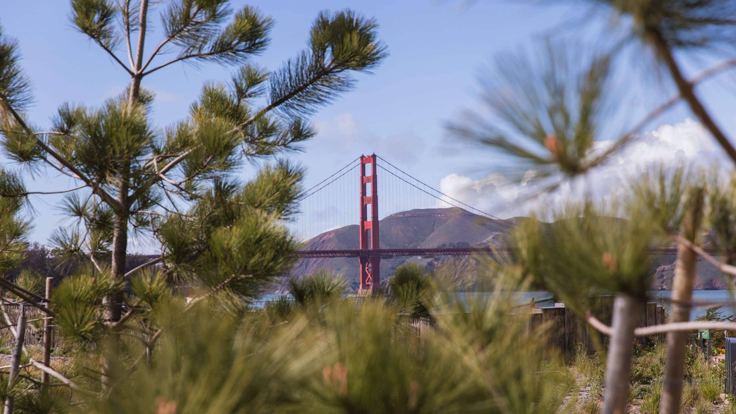 The Laurel Inn Golden Gate Bridge