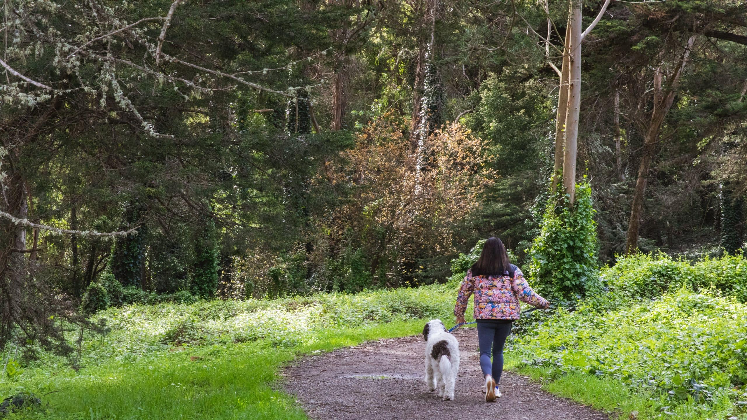 The Laurel Inn Walking Trail