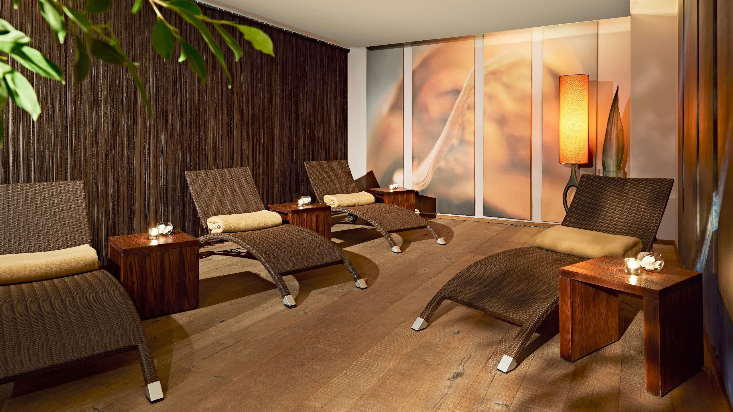 Wellness