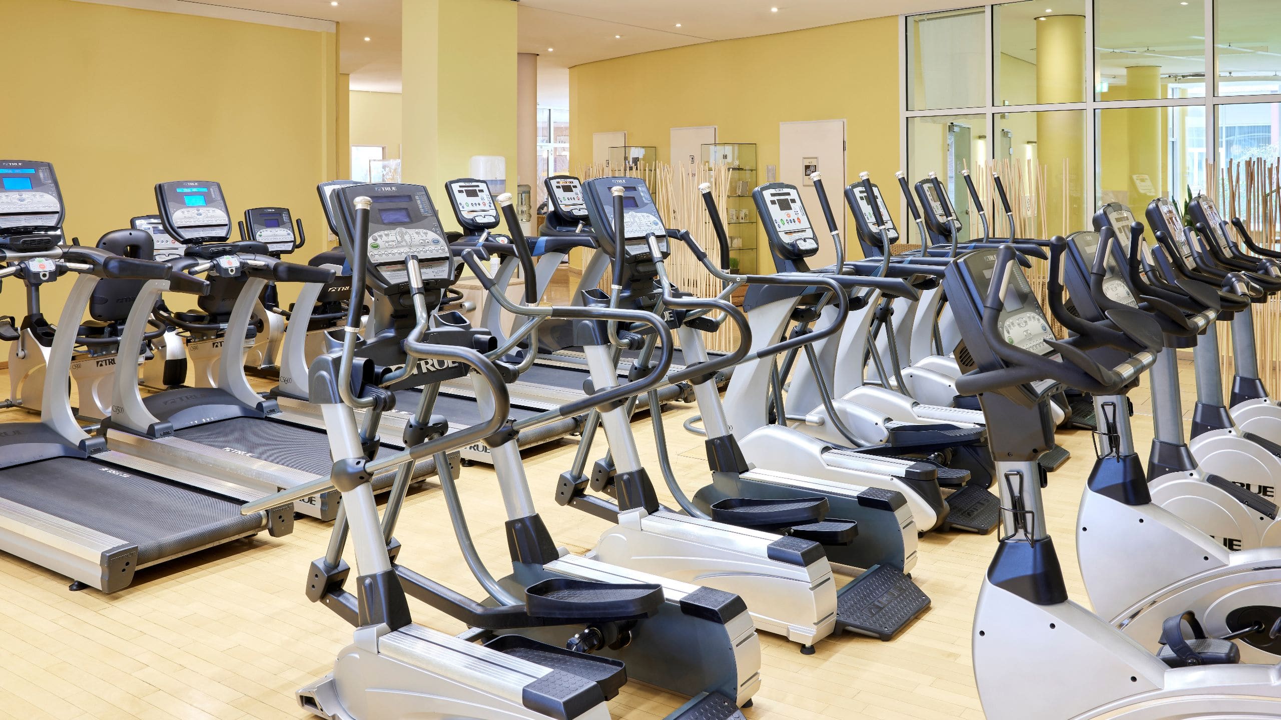 Lindner Hotel Dom Residence Fitness