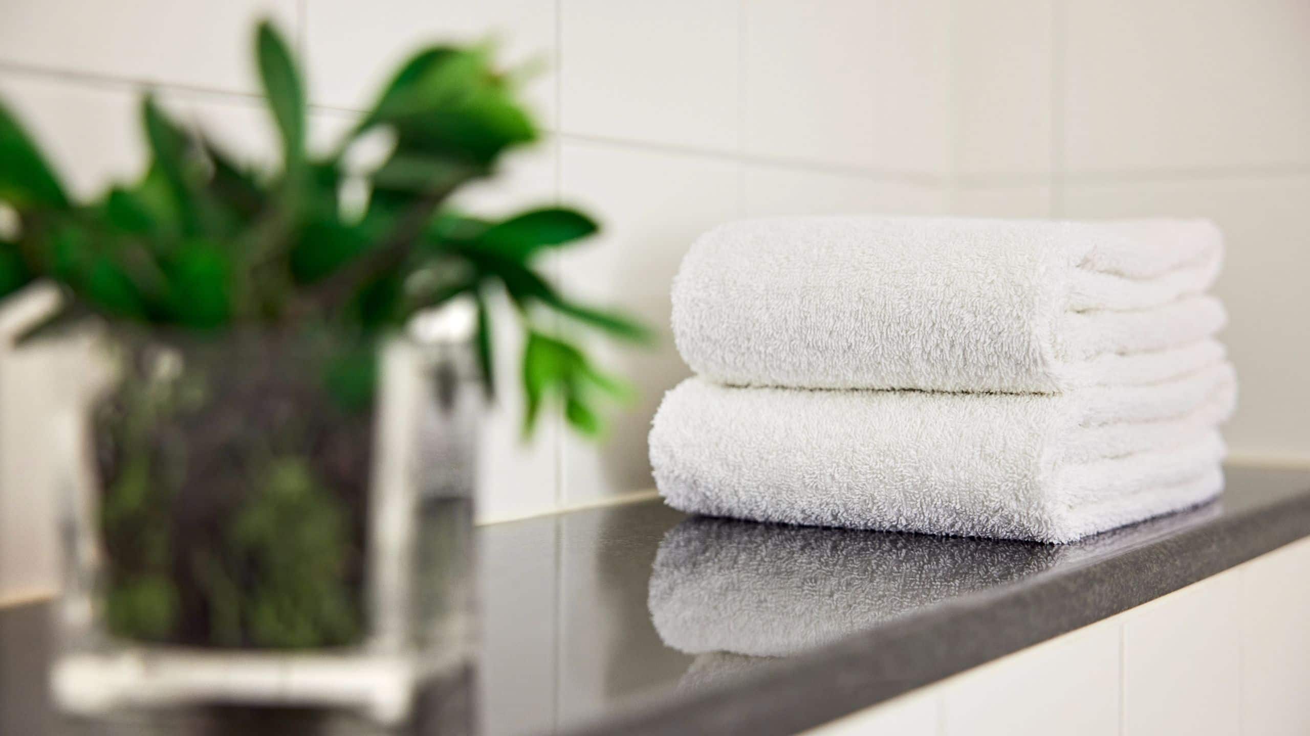 Lindner Hotel Dom Residence One Double Bed Bathroom Details