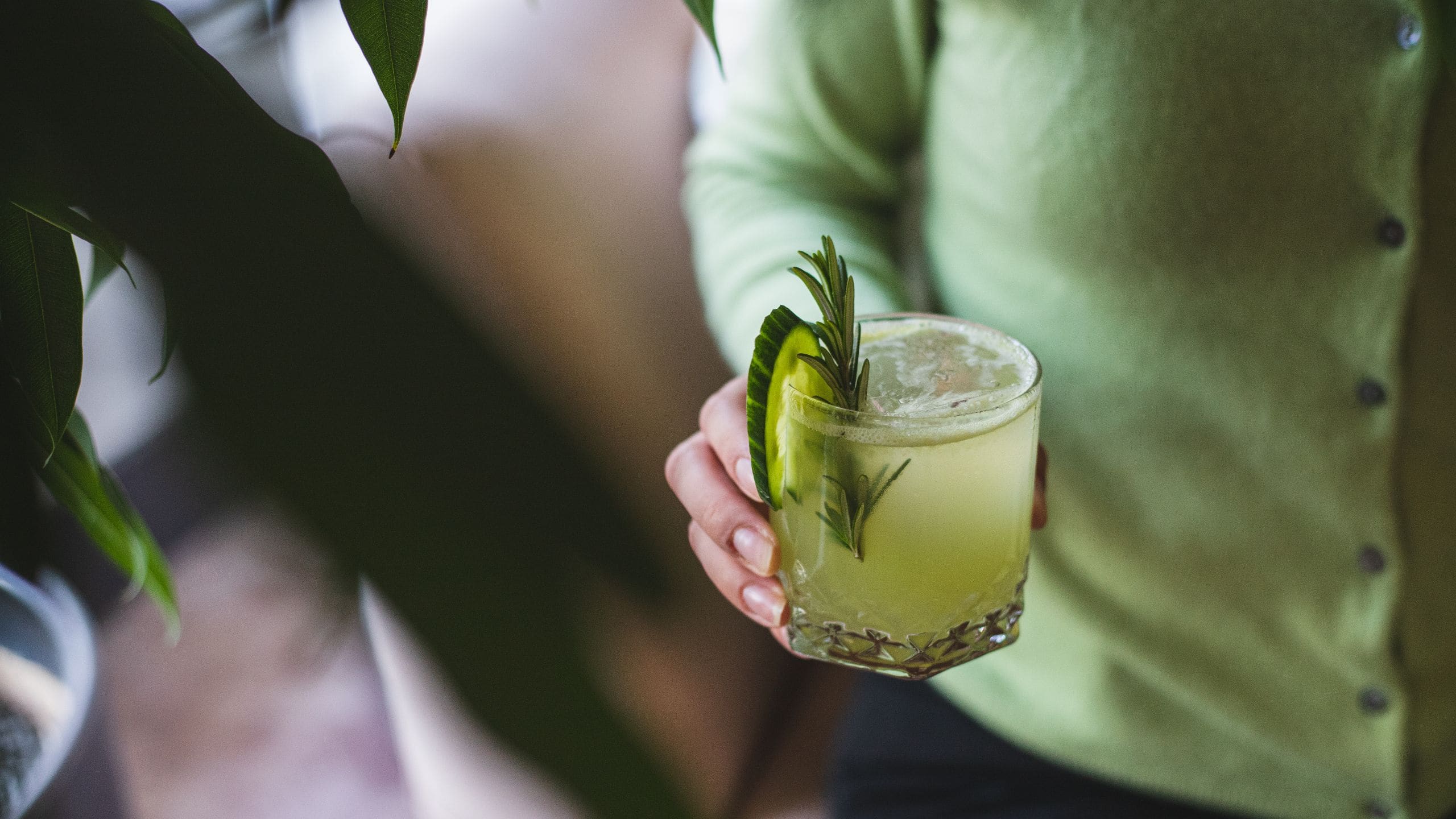 The Laurel Inn Laureate Bar Fresh Start Cocktail