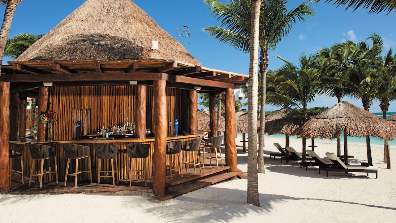 Bar Barracuda