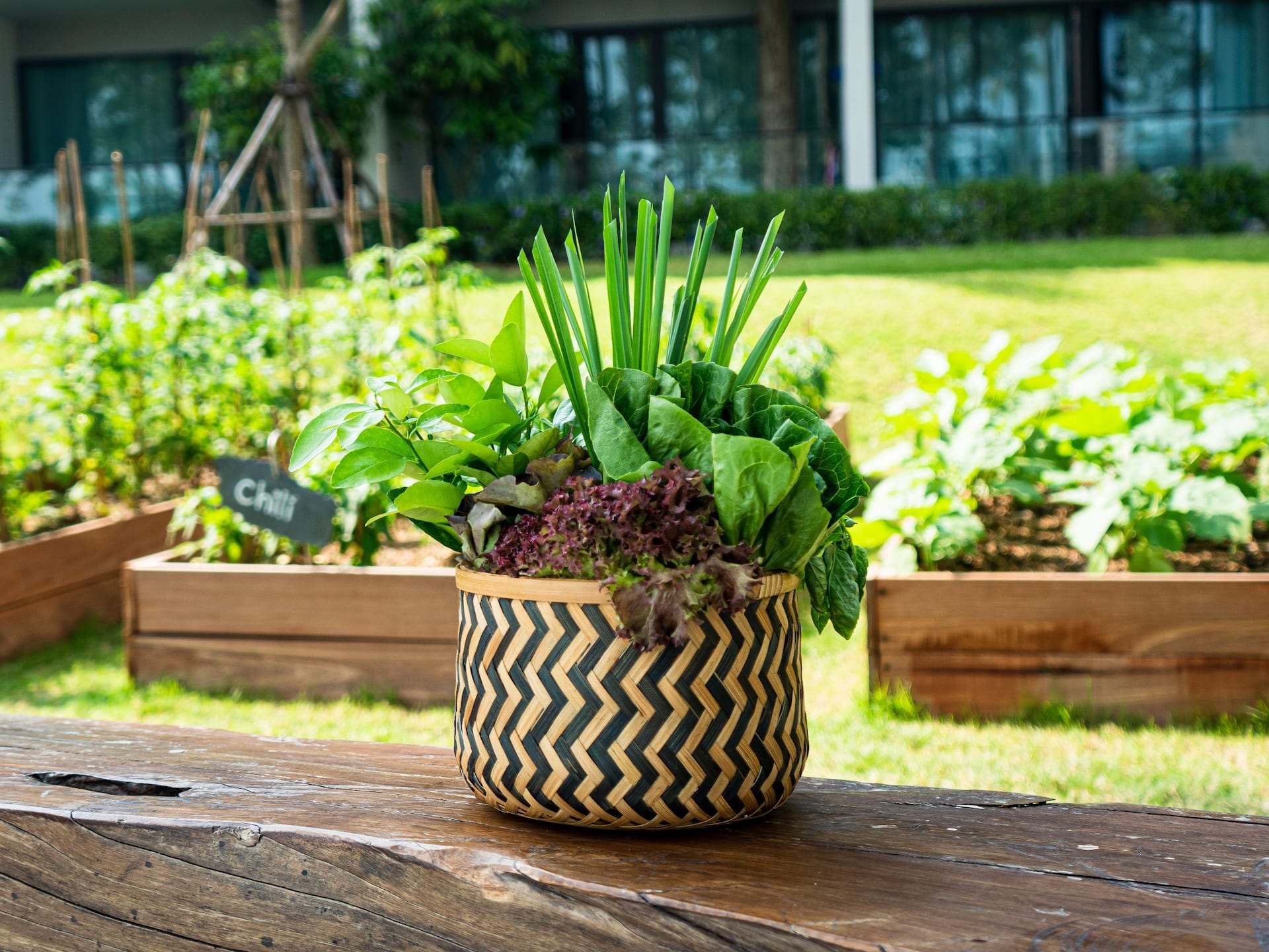 Hyatt Regency Koh Samui Yangna Planet To Plate Pot