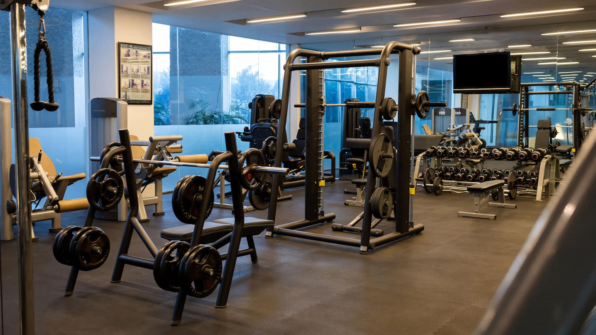 Hyatt Regency Dushanbe Spa Fitness Center Weights