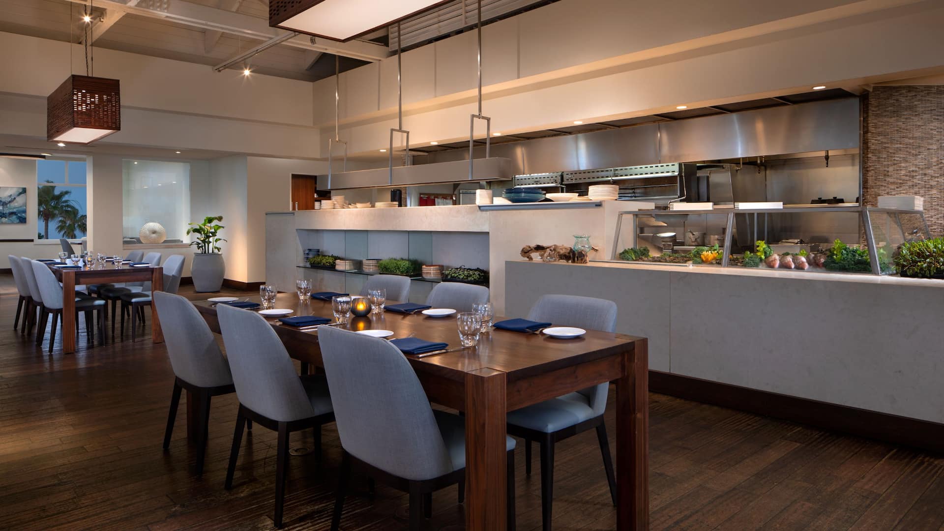 Grand Hyatt Tampa Bay Oystercatchers Open Kitchen