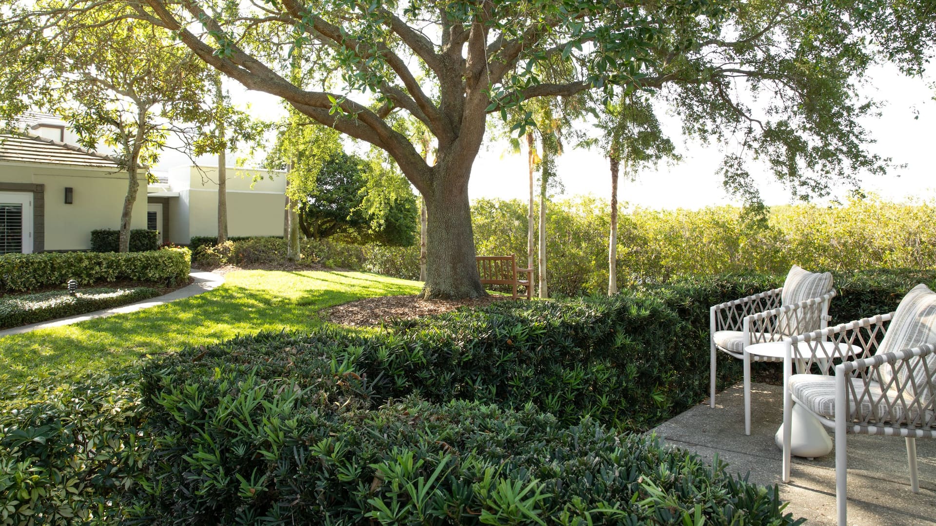 第 2，共 3 Grand Hyatt Tampa Bay Patio