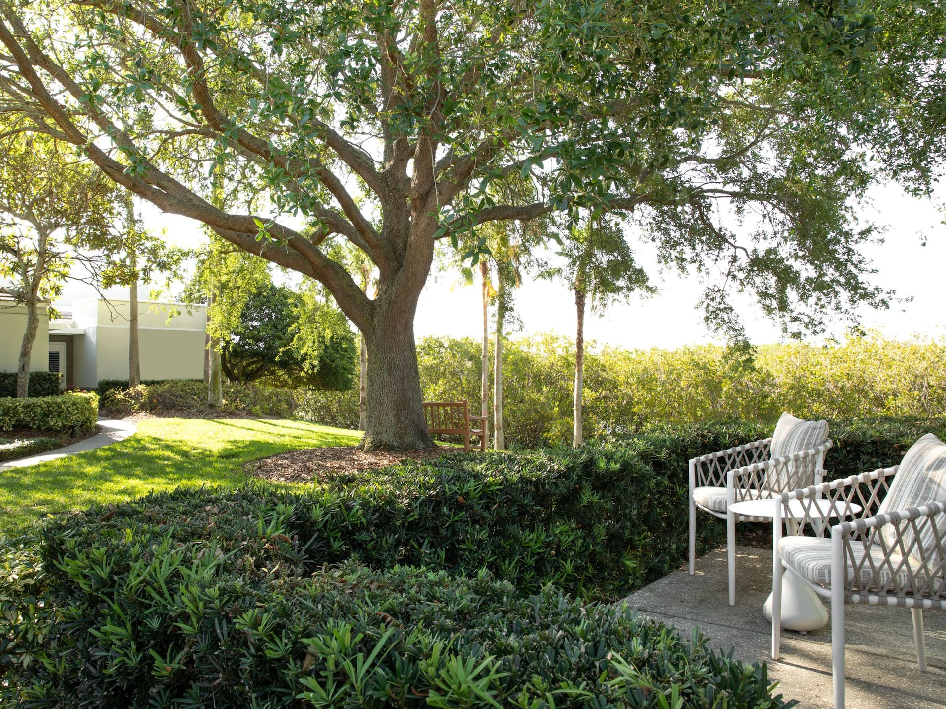 Grand Hyatt Tampa Bay Patio