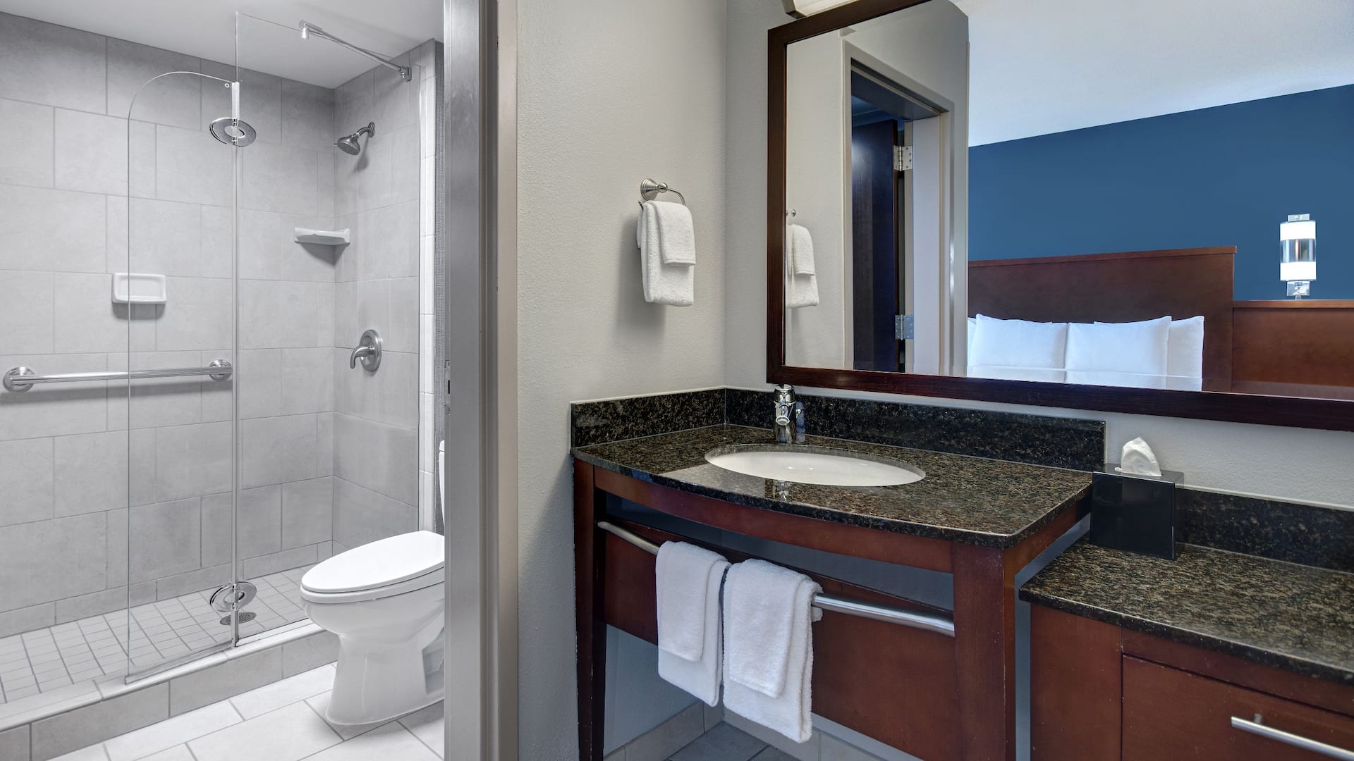 第 3，共 4 Hyatt Place Grand Rapids-South Guestroom Bathroom Shower