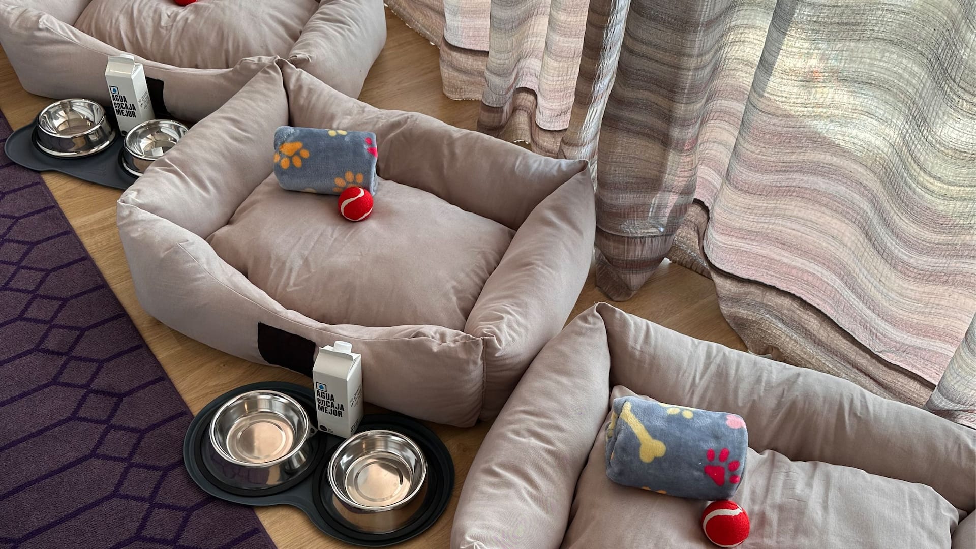 Hyatt Regency Barcelona Tower Pet Friendly Kit