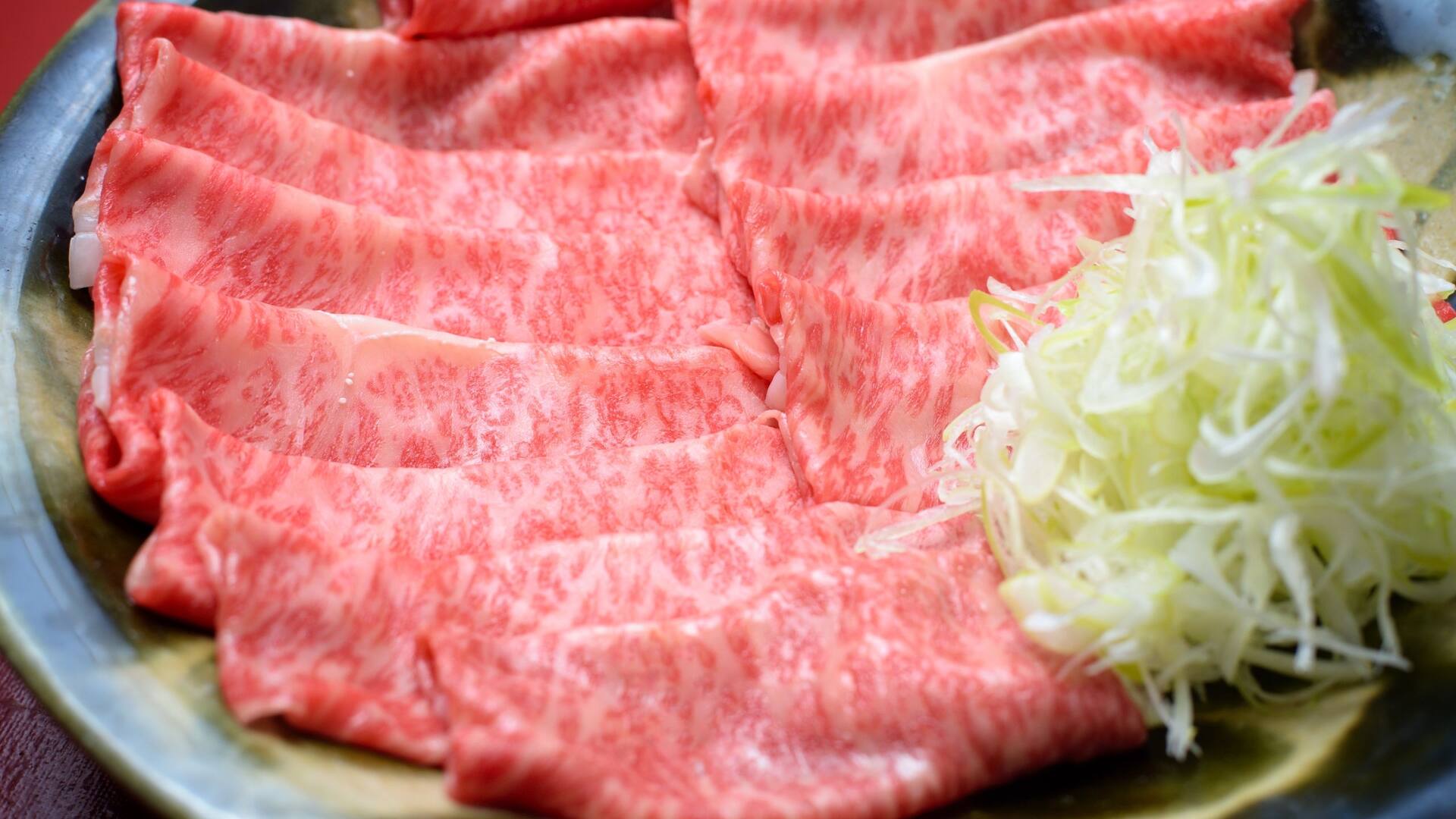 Shirakachi Japanese Cuisine