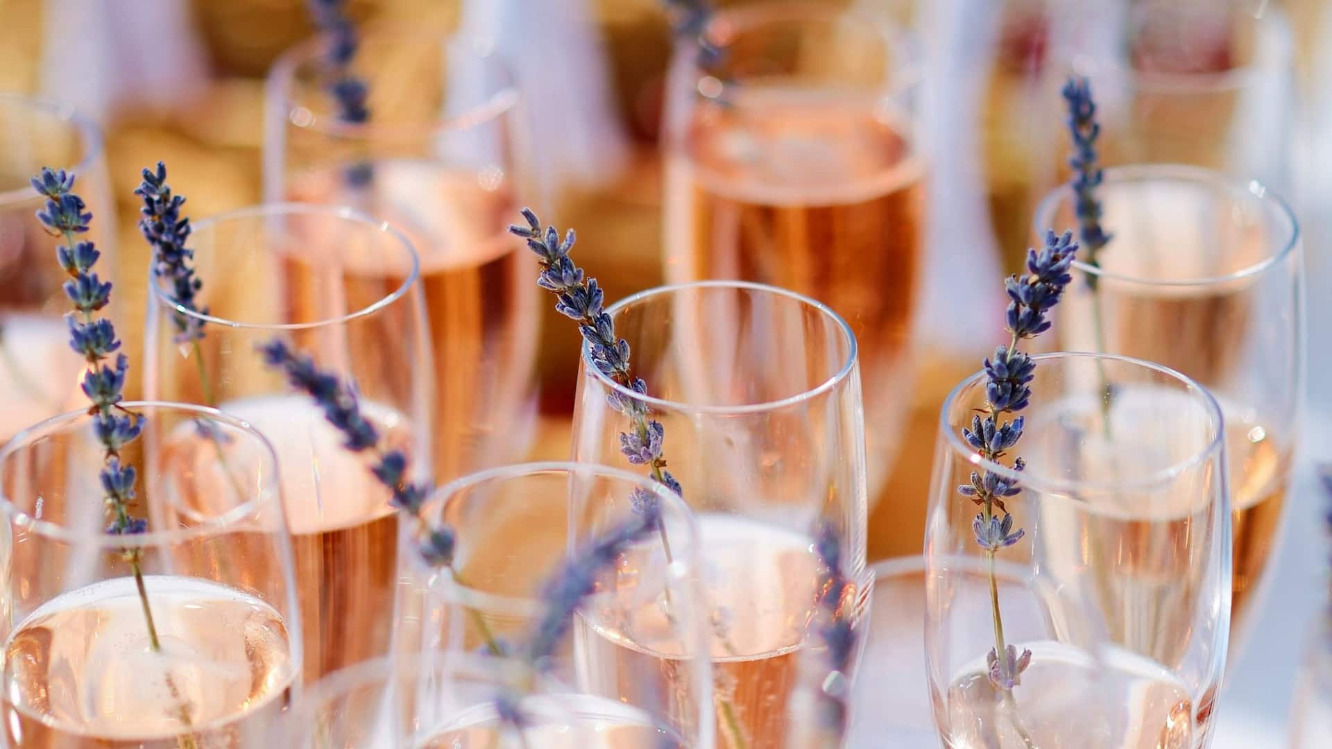 Hyatt Regency Sonoma Wine Country Lavender Rose Catering