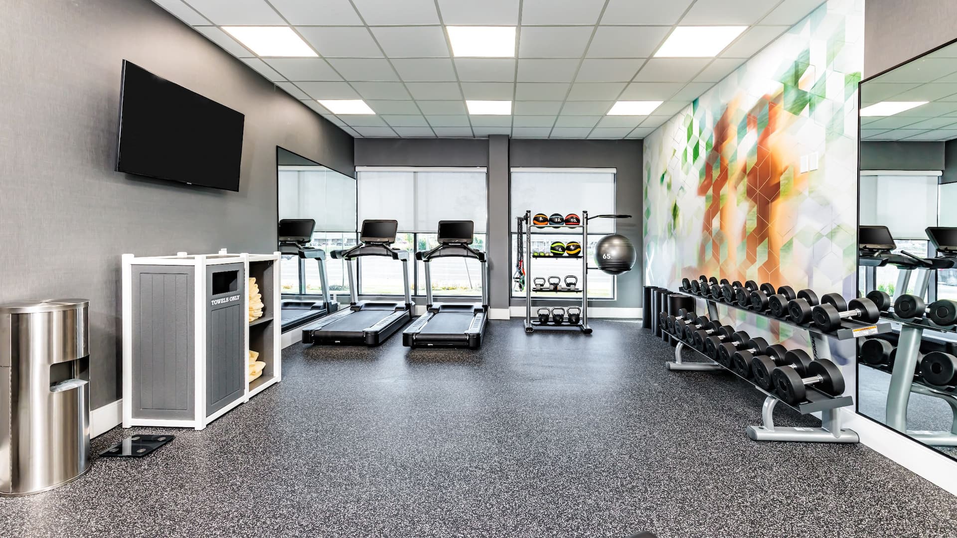 Hyatt Place Toronto / Brampton Fitness Center Treadmills Weights