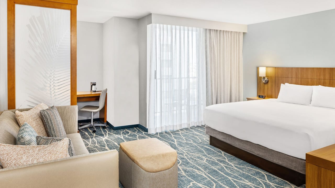 Accessible Standard City View | One King Bed w/ Sofa Bed & Roll-In Shower