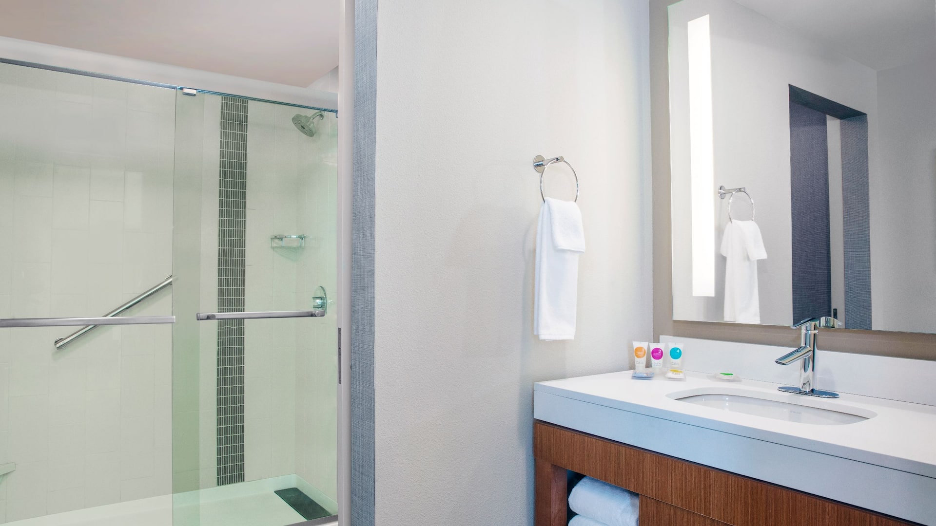 2 de 2 Hyatt Place Titusville / Kennedy Space Center Accessible Bathroom Shower