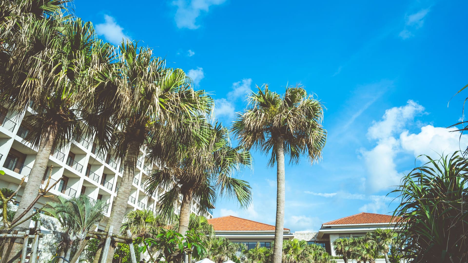 Hyatt Regency Seragaki Island, Okinawa Poolside The Island View
