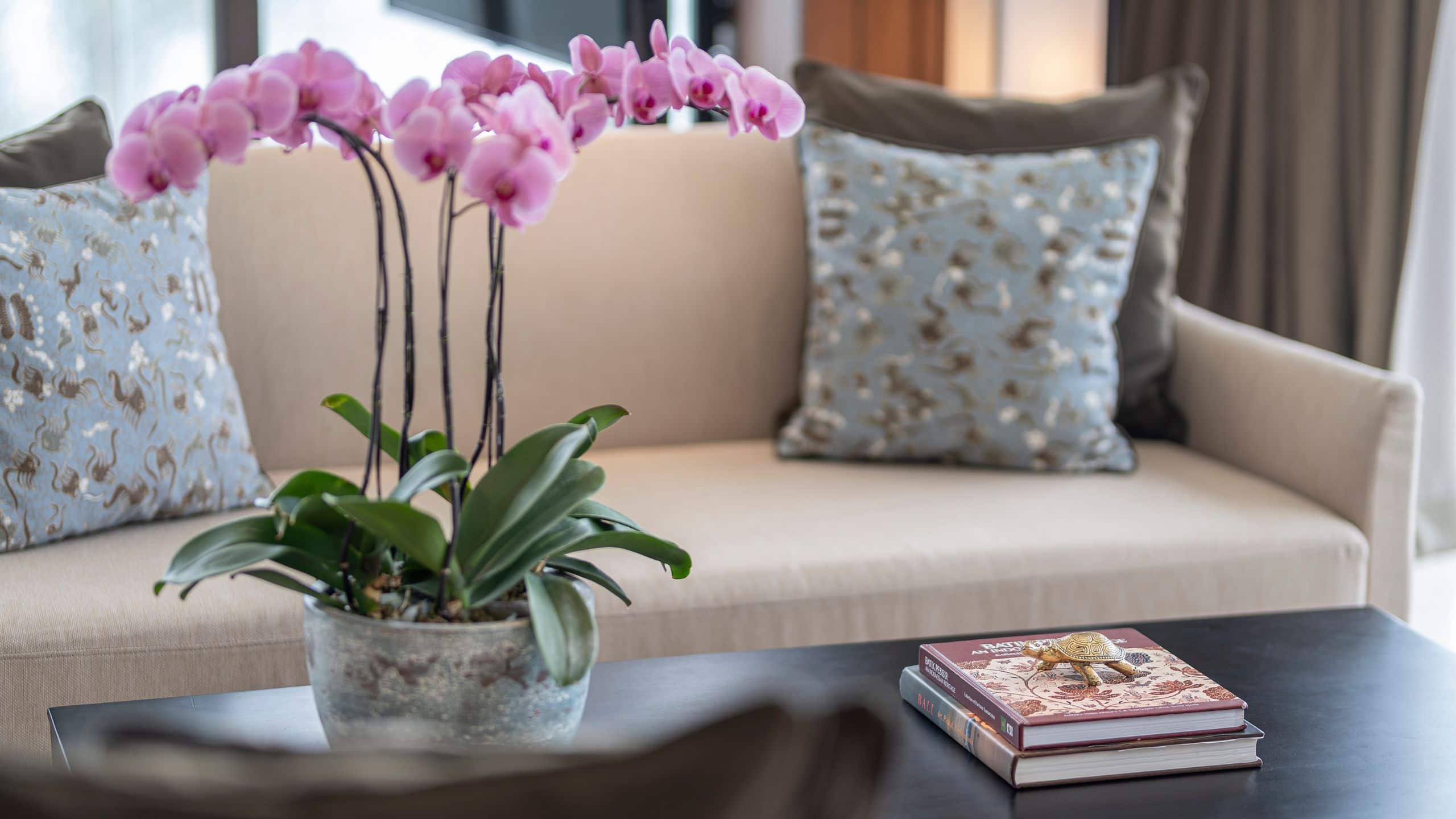 Alila Seminyak Orchid At Room