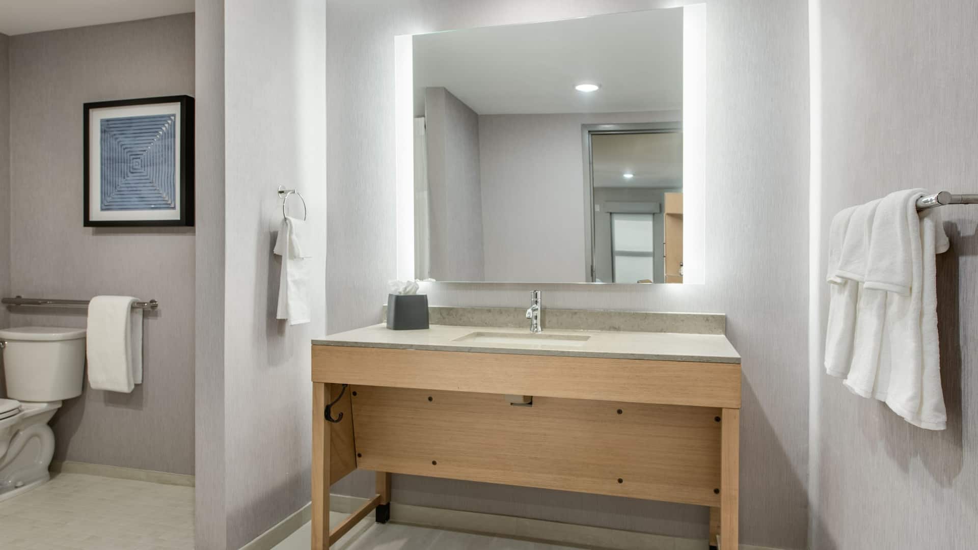 第 2，共 3 Hyatt Place Newark / Main Street Bathroom Vanity