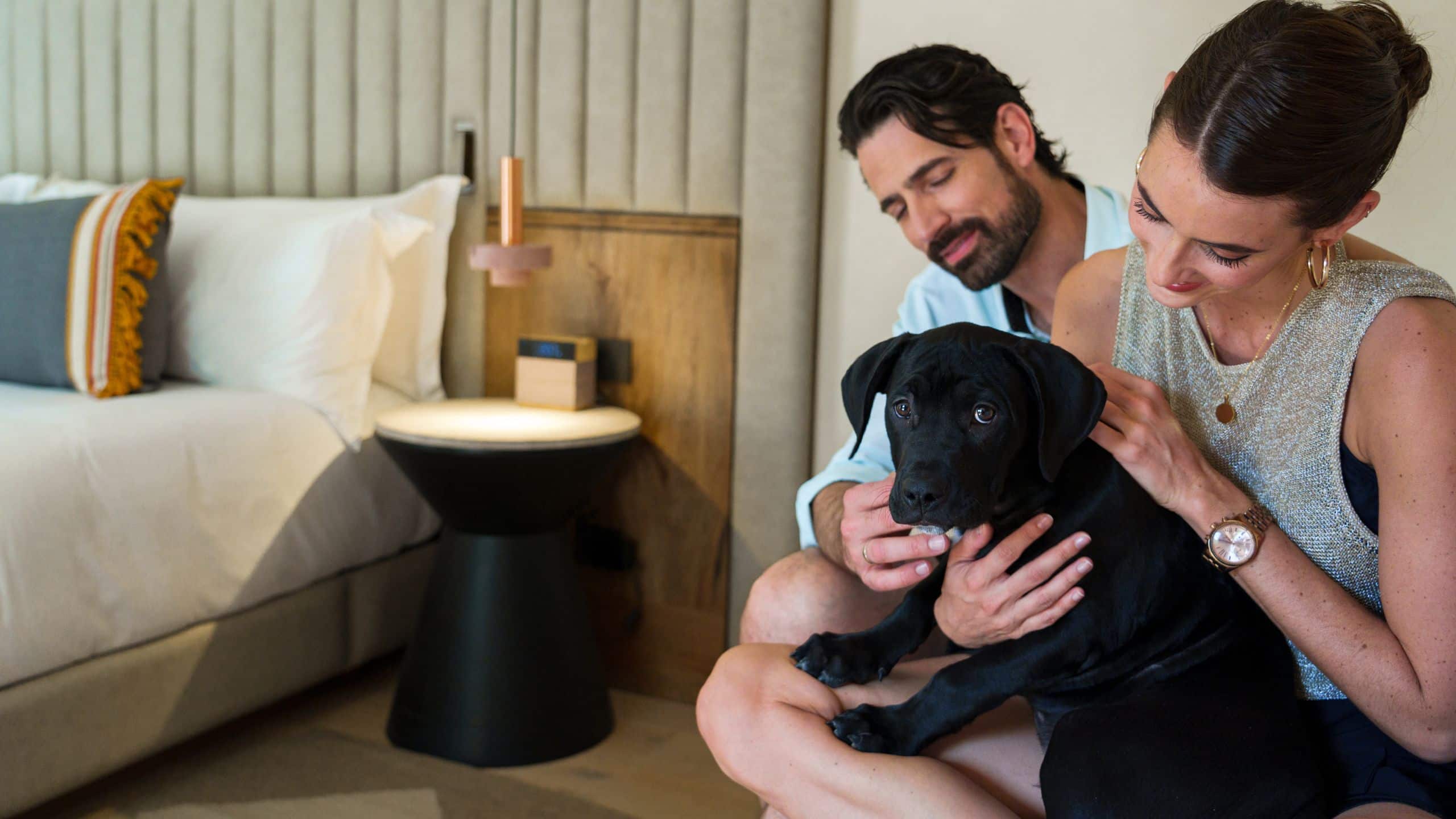 Numu Boutique Hotel San Miguel de Allende Couple Pet Friendly Guestroom