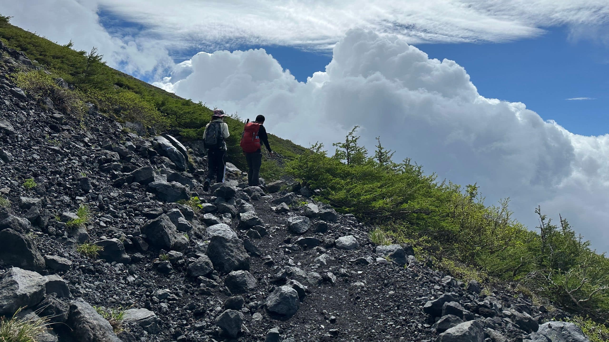 Fuji Speedway Hotel Mount Fuji Hiking Summer Greenery Sky