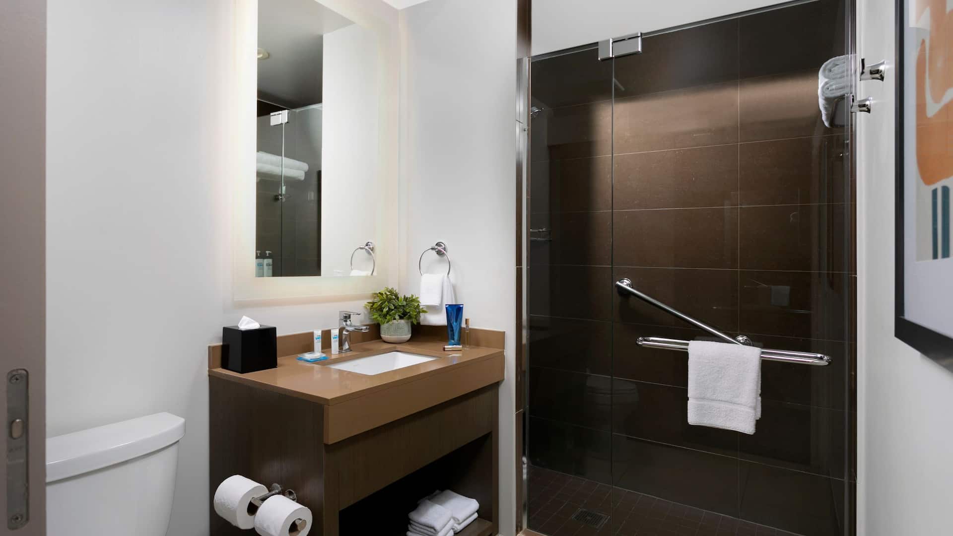 第 3，共 3 Hyatt House San Juan Bay View Queen Den Bay View King Den